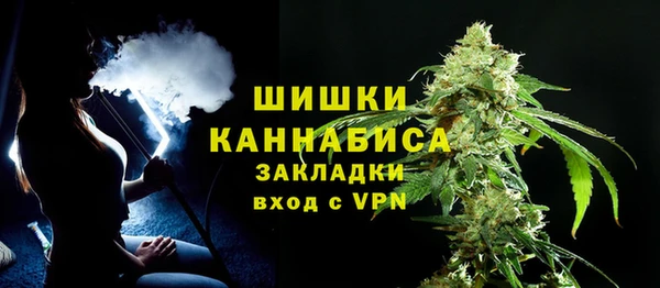 ПСИЛОЦИБИНОВЫЕ ГРИБЫ Балахна