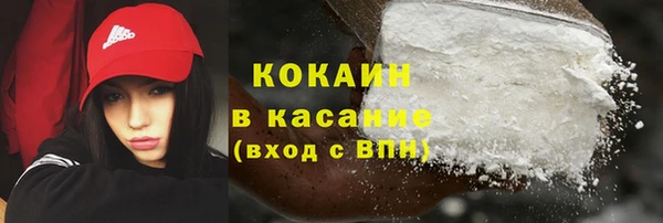 мяу мяу мука Баксан