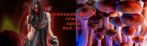 ПСИЛОЦИБИНОВЫЕ ГРИБЫ Балахна