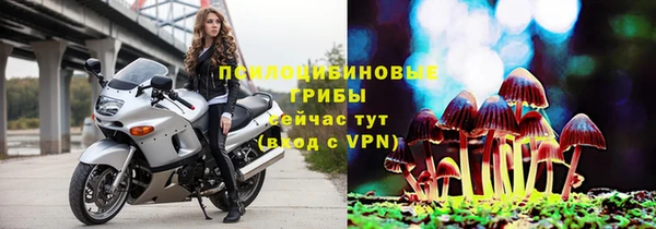 мяу мяу мука Баксан